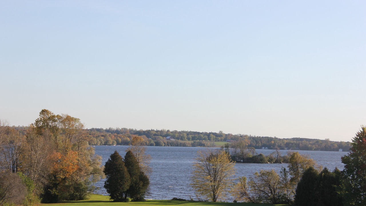 Photo of Others in Fenelon Falls